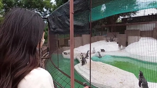小妞系列-娇小的金发妹子在泳池边被爆操