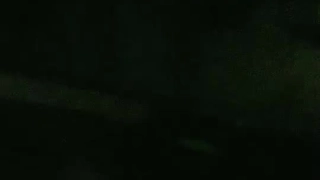 二零二三八月二十八号_美美好冷1